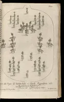 Picture 18 of 37 from [Publications relating to the wedding of Leopold I, Holy Roman Emperor, and Margarita Teresa, Infanta of Spain] (1666), leaf 86