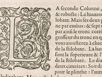 An illustration from Traitté de l'architecture svivant Vitruue, ou, Il est traitté cinq ordres de colomnes ... (1648)