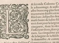 Picture 7 of 22 from Traitté de l'architecture svivant Vitruue, ou, Il est traitté cinq ordres de colomnes ... (1648), leaf 26