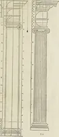An illustration from Reigle generalle d'architectvre des cinq manieres de colonnes : à sçauoir, tuscane, dorique, ionique, corinthe, & cõposite : & enrichi de plusieurs autres, à exemple de l'antique (1568)