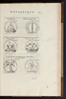 Picture 14 of 29 from Les familles de la France illvstrées par les monvmens des medailles anciennes et modernes : tirées des plus rares & curieux cabinets du royaume, sur les metaux d'or, d'argent & de bronze ... (1636), leaf 152