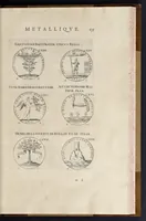 Picture 17 of 29 from Les familles de la France illvstrées par les monvmens des medailles anciennes et modernes : tirées des plus rares & curieux cabinets du royaume, sur les metaux d'or, d'argent & de bronze ... (1636), leaf 174