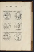 Picture 20 of 29 from Les familles de la France illvstrées par les monvmens des medailles anciennes et modernes : tirées des plus rares & curieux cabinets du royaume, sur les metaux d'or, d'argent & de bronze ... (1636), leaf 204