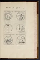 Picture 8 of 29 from Les familles de la France illvstrées par les monvmens des medailles anciennes et modernes : tirées des plus rares & curieux cabinets du royaume, sur les metaux d'or, d'argent & de bronze ... (1636), leaf 68