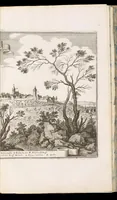 Picture 18 of 28 from Topographia Franconiæ : das ist, Beschreibung vnd eÿgentliche Contrafactur der vornehmbsten Stätte, vnd Plätze des Frankenlandes vnd deren, die zu dem hochlöbischen Fränkischen Craisse gezogen werden (1648), leaf 162