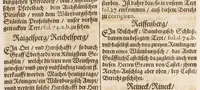 Picture 28 of 28 from Topographia Franconiæ : das ist, Beschreibung vnd eÿgentliche Contrafactur der vornehmbsten Stätte, vnd Plätze des Frankenlandes vnd deren, die zu dem hochlöbischen Fränkischen Craisse gezogen werden (1648), leaf 301