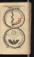 Picture 31 of 51 from Symbola varia diversorum principum, archiducum, ducum, comitum & marchionum totius Italiae : cum facili isagoge D. Anselmi de Boot (1686), leaf 266