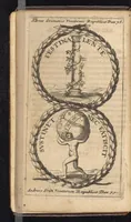 Picture 4 of 51 from Symbola varia diversorum principum, archiducum, ducum, comitum & marchionum totius Italiae : cum facili isagoge D. Anselmi de Boot (1686), leaf 29