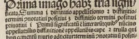 An illustration from Logica memoratiua : chartiludiũ logice, siue, totius dialectice memoria : & nouus Petri Hyspani textus emendatus : cum iucundo pictasmatis exercitio (1509)