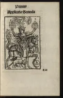 Picture 1 of 40 from Logica memoratiua : chartiludiũ logice, siue, totius dialectice memoria : & nouus Petri Hyspani textus emendatus : cum iucundo pictasmatis exercitio (1509), leaf 34