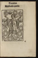 Picture 4 of 40 from Logica memoratiua : chartiludiũ logice, siue, totius dialectice memoria : & nouus Petri Hyspani textus emendatus : cum iucundo pictasmatis exercitio (1509), leaf 40