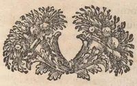 Picture 2 of 2 from Abb. Jo. Bapt. Pacichellii J. ac Th. C. sereniss. Parmae ac Placentia ducis in aula ac regno Neapolis ablegati ... Schediasma juridico-philologicvm tripartitum in otio romano caniculari anni Christiani M.DC.XCII : adjecto duplici, titulorum, ac rerum syllabo (1693), leaf 6