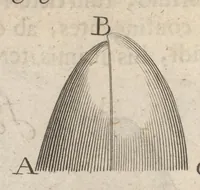 Picture 17 of 35 from Arcana naturae, ope & beneficio exquisitissimorum microscopiorum detecta, variisque experimentis demonstrata : una cum discursu & ulteriori dilucidatione, epistolis suis ad celeberrimum, quod Ser.mi Magnae Brittanniae regis auspicio Londini floret, philosophorum collegium datis, comprehensa (1696), leaf 295