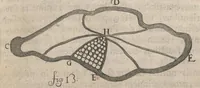 An illustration from Arcana naturae, ope & beneficio exquisitissimorum microscopiorum detecta, variisque experimentis demonstrata : una cum discursu & ulteriori dilucidatione, epistolis suis ad celeberrimum, quod Ser.mi Magnae Brittanniae regis auspicio Londini floret, philosophorum collegium datis, comprehensa (1696)