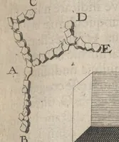 Picture 26 of 35 from Arcana naturae, ope & beneficio exquisitissimorum microscopiorum detecta, variisque experimentis demonstrata : una cum discursu & ulteriori dilucidatione, epistolis suis ad celeberrimum, quod Ser.mi Magnae Brittanniae regis auspicio Londini floret, philosophorum collegium datis, comprehensa (1696), leaf 374