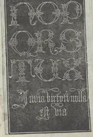 An illustration from Lo presente libro insegna la vera arte delo excelle[n]te scriuere de diuerse varie sorti de litere : le quali se fano p[e]r geometrica ragione & con la presente opera ognuno le potra imparare impochi giorni p[er] lo amaistramento, ragione, & essempli, come qui seguente vederai (1544)