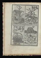 An illustration from Lo presente libro insegna la vera arte delo excelle[n]te scriuere de diuerse varie sorti de litere : le quali se fano p[e]r geometrica ragione & con la presente opera ognuno le potra imparare impochi giorni p[er] lo amaistramento, ragione, & essempli, come qui seguente vederai (1544)