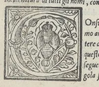 Picture 42 of 45 from Lo presente libro insegna la vera arte delo excelle[n]te scriuere de diuerse varie sorti de litere : le quali se fano p[e]r geometrica ragione & con la presente opera ognuno le potra imparare impochi giorni p[er] lo amaistramento, ragione, & essempli, come qui seguente vederai (1544), leaf 59
