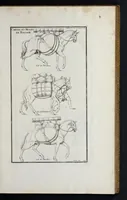 Picture 7 of 17 from L'antiquité expliquée et représentée en figures ... (1719), leaf 62