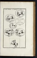 Picture 9 of 16 from L'antiquité expliquée et représentée en figures ... (1719), leaf 208