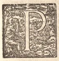 An illustration from L'antiqvita, sito, chiese, corpi santi, reliqvie et statve di Roma. Con l'origine e nobilta di Napoli (1569)