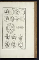 Picture 10 of 19 from L'antiquité expliquée et représentée en figures ... (1719), leaf 198