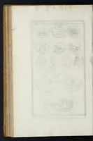 An illustration from L'antiquité expliquée et représentée en figures ... (1719)