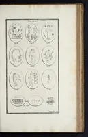 An illustration from L'antiquité expliquée et représentée en figures ... (1719)