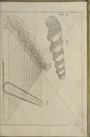 An illustration from L'architettura civile : preparata sú la geometria, e ridotta alle prospettive : considerazioni pratiche (1711)