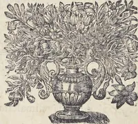 An illustration from L'architettura civile : preparata sú la geometria, e ridotta alle prospettive : considerazioni pratiche (1711)