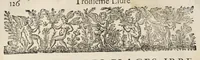 Picture 50 of 54 from La fortification demonstree et reduicte en art (1620), leaf 145