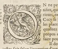 Picture 12 of 54 from La fortification demonstree et reduicte en art (1620), leaf 47