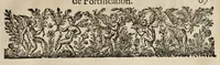 Picture 21 of 54 from La fortification demonstree et reduicte en art (1620), leaf 86