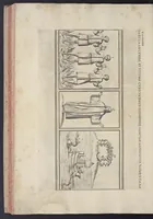 An illustration from Sculture e pitture sagre estratte dai cimiterj di Roma : pubblicate gia dagli autori della Roma sotterranea ed ora nuovamente date in luce colle spiegazioni per ordine di n. s. Clemente XII .. (1737)
