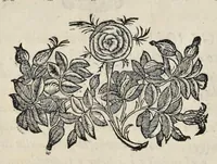 Picture 1 of 37 from La pratica di prospettiua del Caualiere Lorenzo Sirigatti : al Sermo. Ferdinando Medici granduca di Toscana (1596), leaf 7
