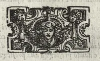 An illustration from Commentarii della gverra di Transilvania (1565)