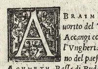 An illustration from Commentarii della gverra di Transilvania (1565)