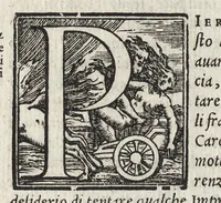 An illustration from Commentarii della gverra di Transilvania (1565)