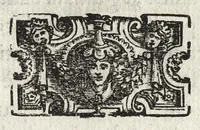 An illustration from Commentarii della gverra di Transilvania (1565)