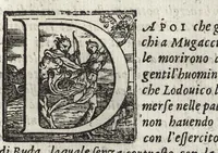 An illustration from Commentarii della gverra di Transilvania (1565)