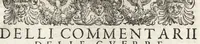 Picture 33 of 34 from Commentarii della gverra di Transilvania (1565), leaf 554