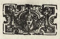 An illustration from Commentarii della gverra di Transilvania (1565)