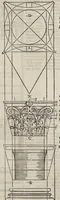 Picture 29 of 49 from Regole generali di architetvra sopra le cinqve maniere de gliedifici : cioe, thoscano, dorico, ionico, corinthio, et composito, con gliessempi dell'antiqvita, che per la magior parte concordano con la dottrina di Vitrvvio (1537), leaf 98