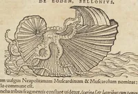 Picture 24 of 36 from Historiæ animalivm ... (1551), leaf 777