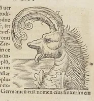 An illustration from Historiæ animalivm ... (1551)