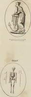 Picture 53 of 63 from A descriptive catalogue of a general collection of ancient and modern engraved gems, cameos as well as intaglios, taken from the most celebrated cabinets in Europe and cast in coloured pastes, white enamel, and sulphur, by James Tassie, modeller (1791), leaf 486
