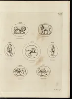 Picture 62 of 63 from A descriptive catalogue of a general collection of ancient and modern engraved gems, cameos as well as intaglios, taken from the most celebrated cabinets in Europe and cast in coloured pastes, white enamel, and sulphur, by James Tassie, modeller (1791), leaf 502