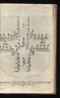 Picture 24 of 27 from La contesa dell' aria e dell' acqua : festa à cavallo rappresentata nell'augustissime nozze delle sacre, cesaree, reali M.M. dell' imperatore Leopoldo e dell' infanta Margherita delle Spagne (1667), leaf 94