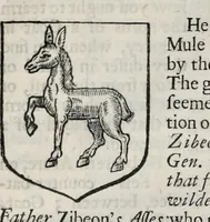 Picture 7 of 39 from A display of heraldry : manifesting a more easie access to the knowledge thereof than hath been hitherto published by any, through the benefit of method (1679), leaf 138