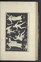 Picture 12 of 117 from Picturae Etruscorum in vasculis nunc primum in unum collectae explicationibus, et dissertationibus inlustratae (1767), leaf 200